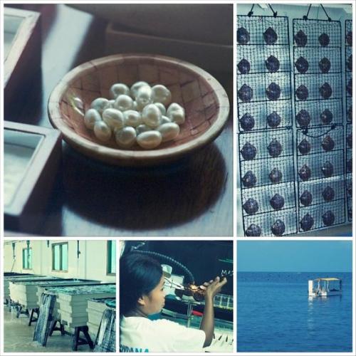 Природный жемчуг. Какие бывают сорта и типы ЖЕМЧУЖИН