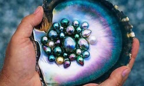 Форма жемчуга и причины изменения его формы. Отличия двух видов минералов 01