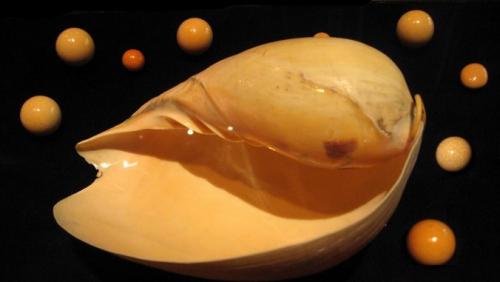 Форма жемчуга и причины изменения его формы. Отличия двух видов минералов 05