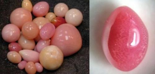 Форма жемчуга и причины изменения его формы. Отличия двух видов минералов 09