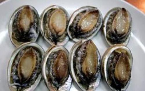 Форма жемчуга и причины изменения его формы. Отличия двух видов минералов 02