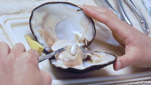 Природный жемчуг. Какие бывают сорта и типы ЖЕМЧУЖИН