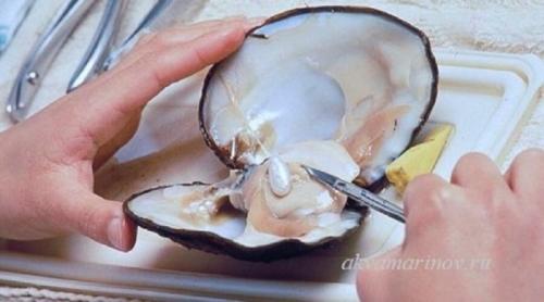 Может ли жемчуг облезть. Как отличить настоящий жемчуг от искусственного