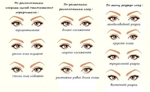Изгиб м ресницы. Особенности изгиба