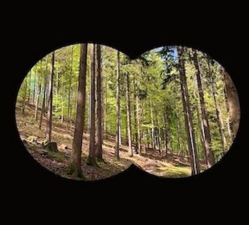 Почему слезятся и краснеют глаза после наращивания ресниц. Какие последствия для глаз могут быть после наращивания ресниц? 10 Почему слезятся и краснеют глаза после наращивания ресниц. Какие последствия для глаз могут быть после наращивания ресниц? 10