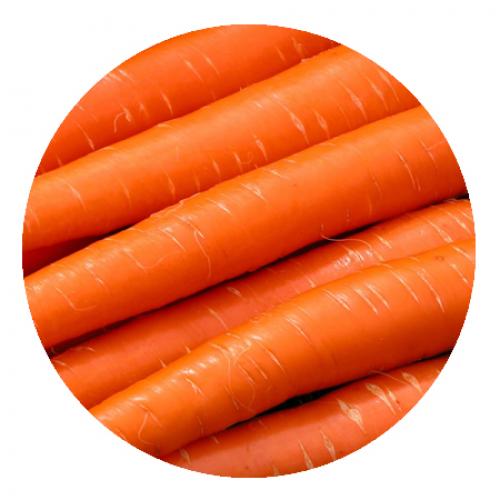 Исследования и мифы: беседа с доктором о женском здоровье 03