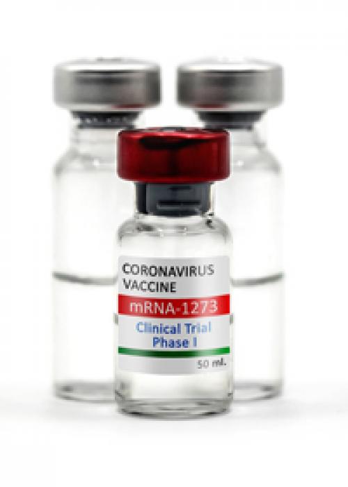 Какие этапы проходит разработка вакцины от коронавируса. Технологические особенности создания вакцины