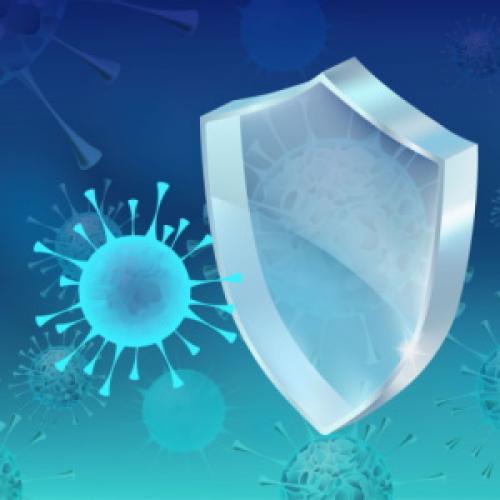 Последствия пандемии: как коронавирус COVID-19 изменил мир 03