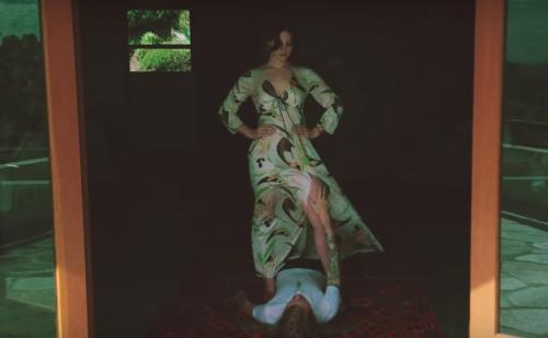 Лана дель Рей вернулась к своему натуральному цвету волос: почему это вызвало такой ажиотаж 06