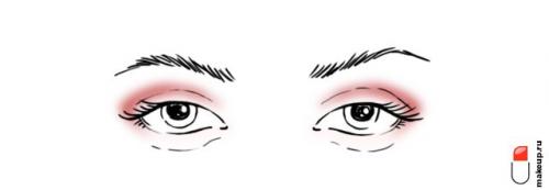 Как правильно наносить тени для век, чтобы глаза выглядели выразительными. Как наносить тени в зависимости от формы глаз?