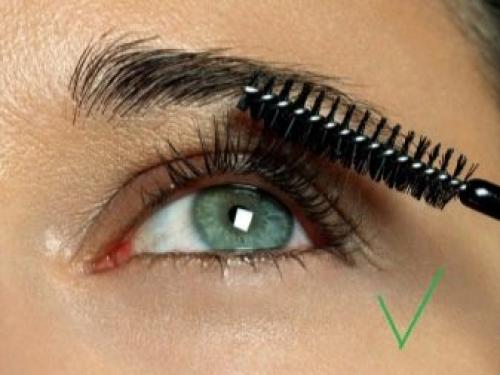 Можно ли наносить тушь после ламинирования ресниц. Как пользоваться краской? 01 Можно ли наносить тушь после ламинирования ресниц. Как пользоваться краской? 01