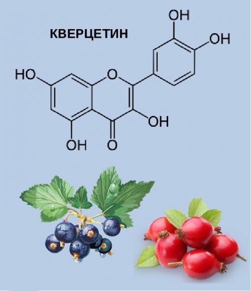 Правда и вымыслы о коронавирусе: обманы и факты Правда и вымыслы о коронавирусе: обманы и факты