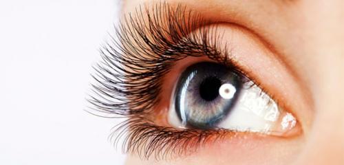 Эффект после ламинирования ресниц держится до 1-2 месяцев. Ламинирование ресниц: на сколько хватает эффекта? 03 Эффект после ламинирования ресниц держится до 1-2 месяцев. Ламинирование ресниц: на сколько хватает эффекта? 03