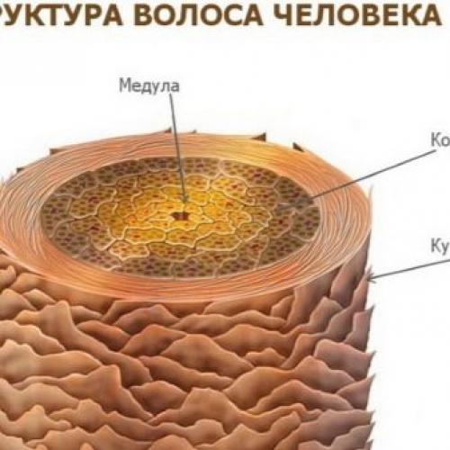 Ламинирование и ботокс ресниц. Что лучше — ботокс или ламинирование ресниц 06 Ламинирование и ботокс ресниц. Что лучше — ботокс или ламинирование ресниц 06