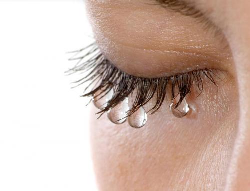 Как выбрать правильный изгиб ресниц 2 д для идеального взгляда 03