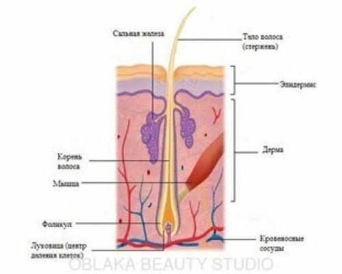 Эффект после ламинирования Ресниц. Стойкость эффекта 01