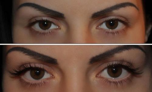 Исследование эффекта изгиба у 2D лисы в условиях мокрого окружения 06