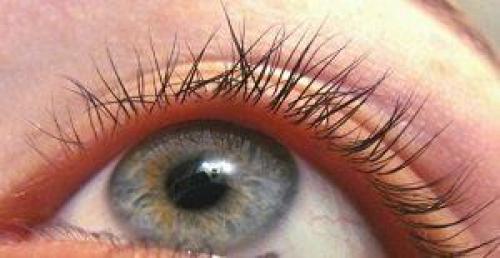 Шаг за шагом: как правильно сделать ламинирование ресниц дома 04