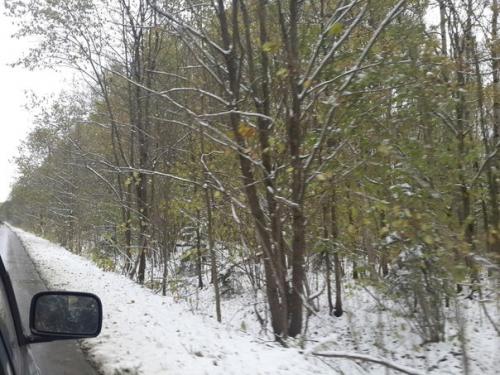 Литературный бал во Владимире или да здравствуют неожиданные авантюры в хорошей компании! 01 Литературный бал во Владимире или да здравствуют неожиданные авантюры в хорошей компании! 01