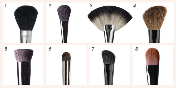 Кисти для макияжа и их описание. 01 Кисти для макияжа и их описание. 01