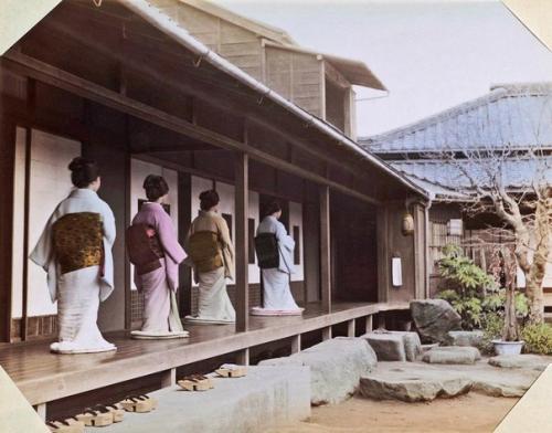 Япония в цвете. 07