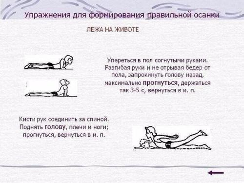 Упражнения для красивой осанки и против болей в спине? 02