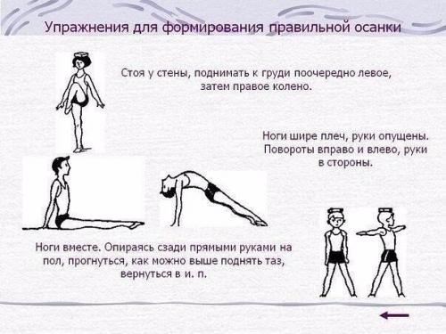 Упражнения для красивой осанки и против болей в спине? 05