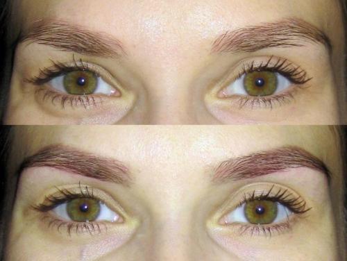 Женские глаза, ресницы, форма бровей воспеты поэтами. 01 Женские глаза, ресницы, форма бровей воспеты поэтами. 01