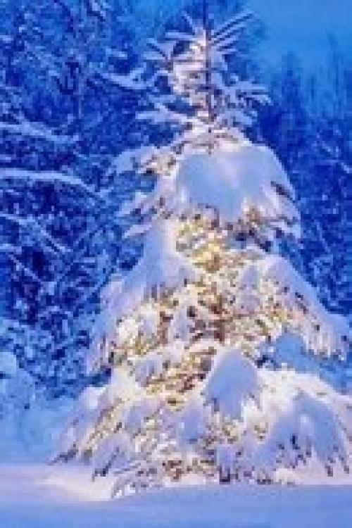 Не забывайте каждый день гулять на свежем воздухе! 02