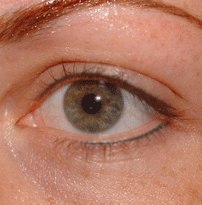 Виды Перманентного Макияжа. Перманентный макияж губ. 05