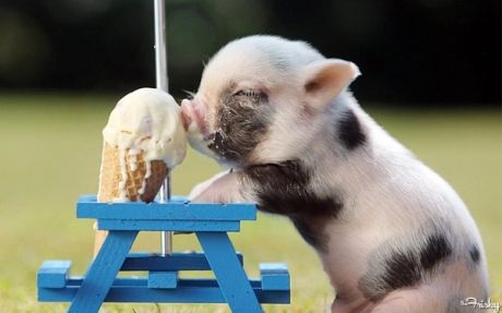 Eyes Cream. Стик для глаз с освежающей мятой! 02 Eyes Cream. Стик для глаз с освежающей мятой! 02