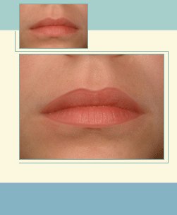 Виды Перманентного Макияжа. Перманентный макияж губ. 01