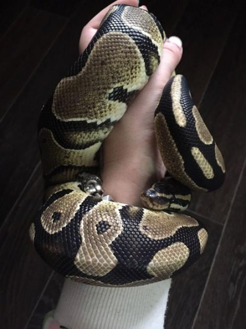 Моя зима?  Самая жаркая во всех смыслах зима? 01