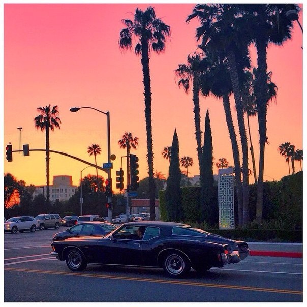 Фотоальбом лета. Мы забираем к себе на новую страницу. 01 Фотоальбом лета. Мы забираем к себе на новую страницу. 01