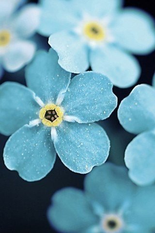 Может кому-то надо. Что нужно сделать летом.