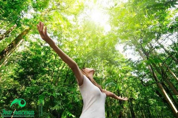 Когда начинаешь жить в гармонии с русской природой, то удивительным образом начинаешь меняться, - сразу же начинают отпадать все надуманные и навязанные новым городом привычки, уходят чужие мысли. Когда начинаешь жить в гармонии с русской природой, то удивительным образом начинаешь меняться, - сразу же начинают отпадать все надуманные и навязанные новым городом привычки, уходят чужие мысли.