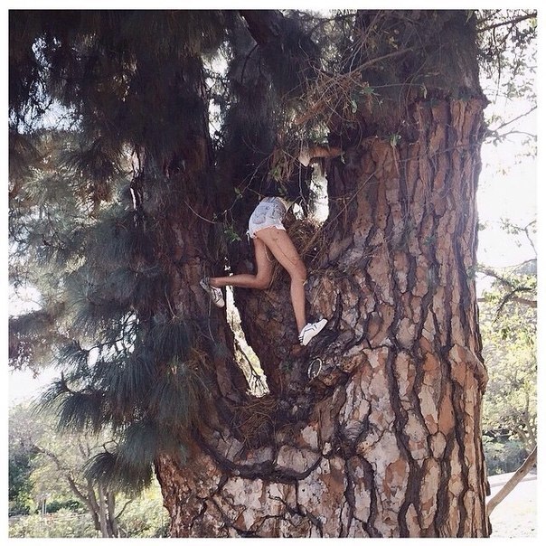 Фотоальбом лета. Мы забираем к себе на новую страницу. 03 Фотоальбом лета. Мы забираем к себе на новую страницу. 03