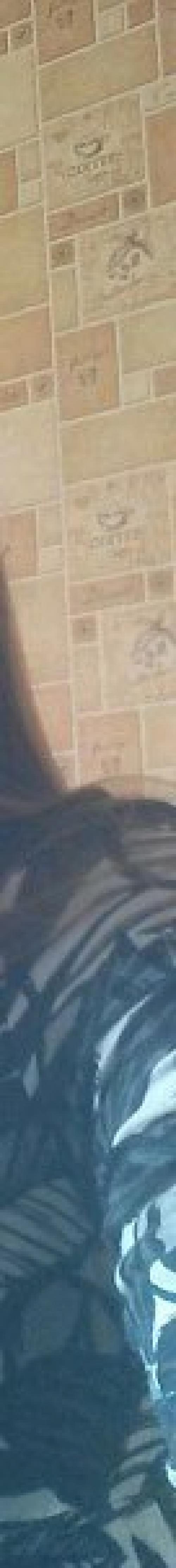 Проснувшись рано утром, и сидя на краю кровати, я стал спрашивать себя, что такое любовь? 04 Проснувшись рано утром, и сидя на краю кровати, я стал спрашивать себя, что такое любовь? 04