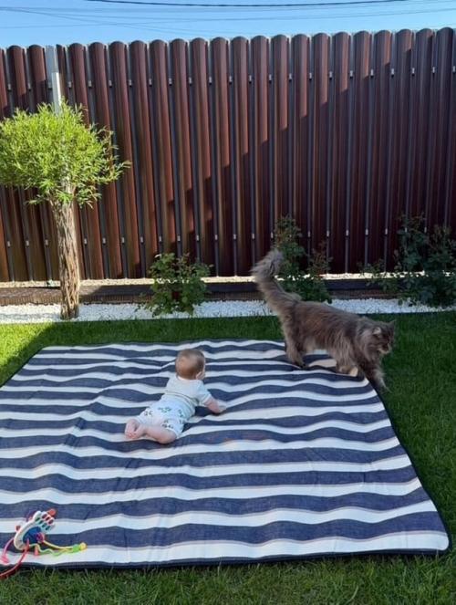 Непромокаемый коврик отлично подойдет для пляжа, гальки и пикника и дачи. 01