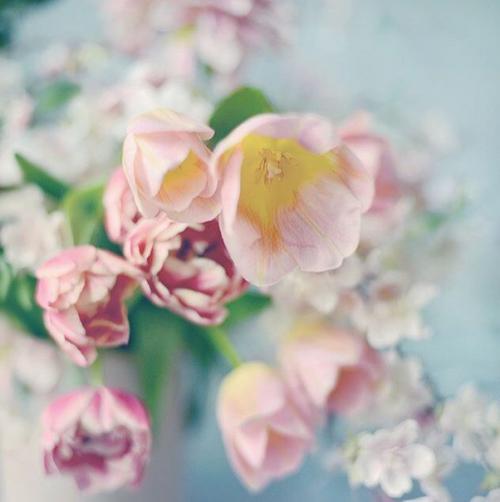 Как правильно наносить макияж? 02