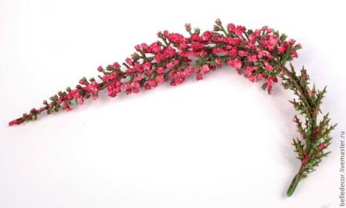 Народные рецепты для улучшения памяти. 02