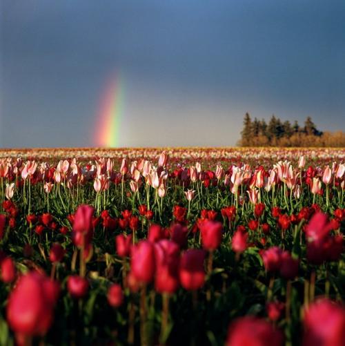 Ох, лето!  Я всегда была обожателем осени, дождя, пасмурного неба, но в этом году я открыла в себе невероятную любовь к лету. 01