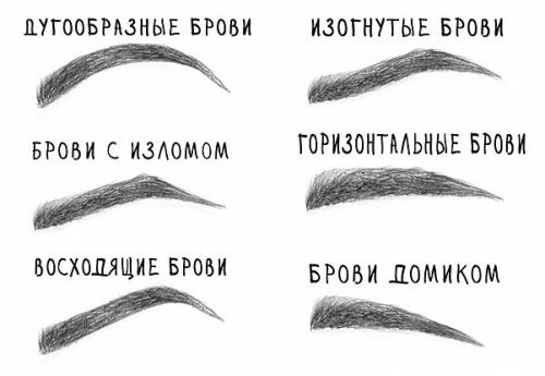 Самая большая статью про брови.