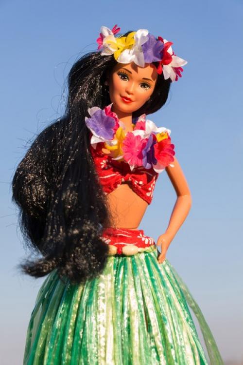 Итак, мои дорогие, продолжаю знакомить вас с моей любимейшей серией от мател Dolls OF THE World! 01