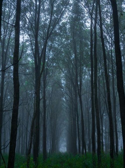 Из Личного Дневника Сумасшедшей Девочки. 01 Из Личного Дневника Сумасшедшей Девочки. 01