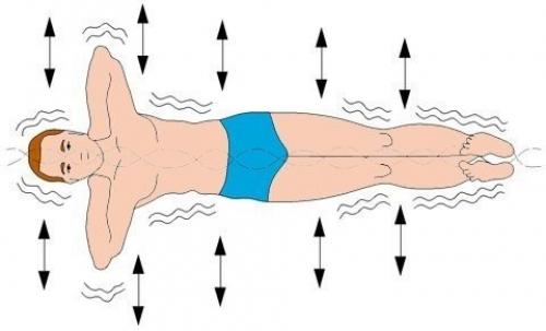 Золотые правила здоровья кацудзо ниши. 01