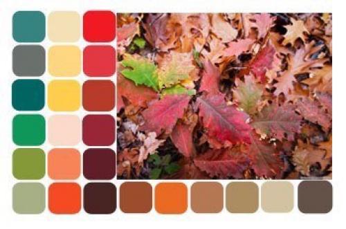 Осень - тёплый цветотип внешности. 01 Осень - тёплый цветотип внешности. 01