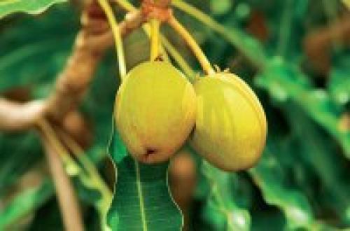 Внимание!  Только в нашем магазине и только у нас! 02