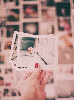 Фотоальбом лета.  Мы забираем к себе на большую страницу. 03 Фотоальбом лета.  Мы забираем к себе на большую страницу. 03