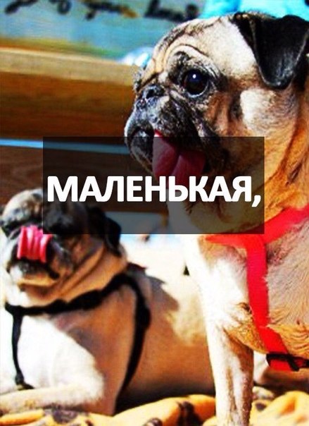 И так давайте мы сделаем фото отчет лета? 02 И так давайте мы сделаем фото отчет лета? 02